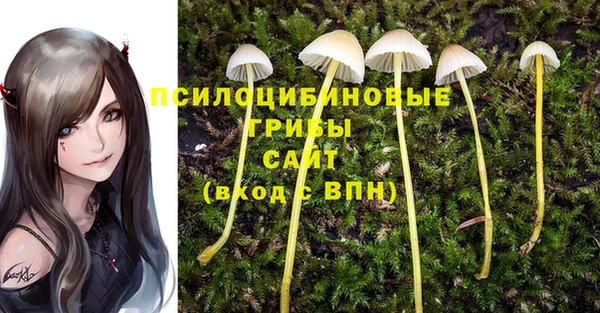 мяу мяу мука Белоозёрский