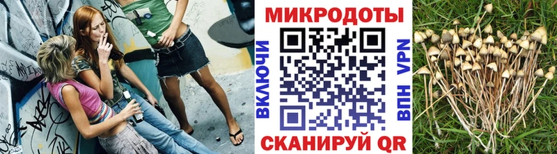 Псилоцибиновые грибы Psilocybine cubensis Ростов-на-Дону